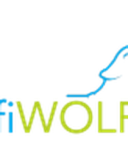 Baufiwolf Logo