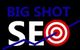 "Big Shot SEO logo with graph line and target symbol."