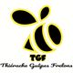 Logo noir et jaune d'une abeille avec texte "TGF Thiérache Guêpes Frelons" en dessous.
