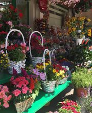 Bunte Blumenauslage auf einem Marktstand mit Körben und blühenden Pflanzen in der Sonne.