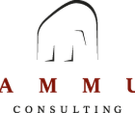 Mammut Consulting GmbH Logo
