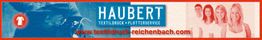Banner für Haubert Textildruck und Plotterservice in Blau und Rot, Webseite: textildruck-reichenbach.com