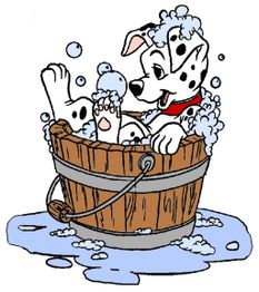 Cucciolo di dalmata si diverte in un secchio di legno pieno di schiuma e bolle.