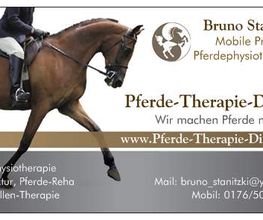 Pferde-Therapie-Direkt Logo
