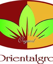 L\'Orientalgroup Logo