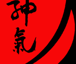 Aikido Weiler Logo