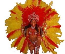 Brasilien pur