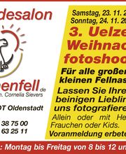 3. Uelzener Weihnachtsfotoshooting für Hunde,  Katzen, Häschen & Co.