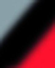 Fotografie + EDV Logo