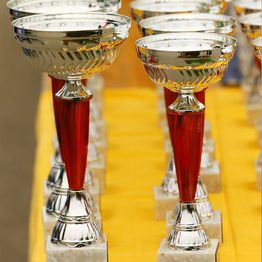 Silver trophies with red stems on a yellow table.