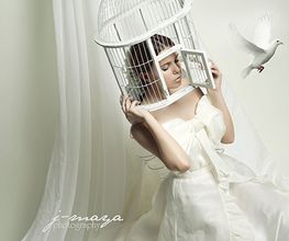 Like a Dove