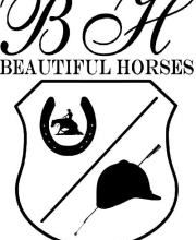 Beautiful Horses Logo