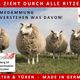 Vier Schafe auf einer Wiese, umgeben von Text über Wärmedämmung und Fenstern aus Deutschland.