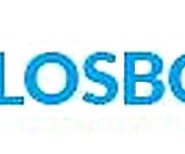LosBo-Bau Logo