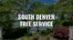 Garden view with "South Denver Tree Service" text overlay and "Call Now" button.