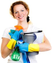 picobello Hauswirtschaft Logo