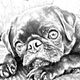 Schwarz-weiß Zeichnung eines Mops-Hundes, der mit traurigem Blick auf einer Couch liegt.