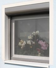 Vorbaurolläden Viertelrund