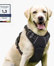 Hund mit schwarzem Geschirr, daneben Testnote 1,3 "Sehr Gut" als Testsieger.