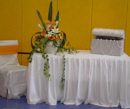 Skirting / Tischrock