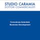 Studio Caramia, Dottori Commercialisti, consulenza aziendale e sviluppo business su sfondo blu.