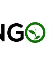 Mango-Film Logo