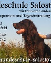 Hundeschule Salostowitz Logo