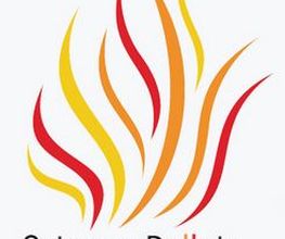 Ortenau Pellets Logo