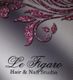 Glitzerndes florales Design mit Text: "Le Figaro Hair & Nail Studio".