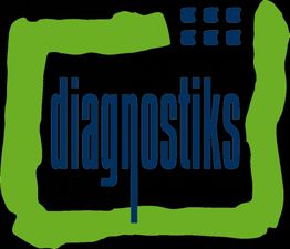Text "diagnostiks" in Blau, umrahmt von einem grünen Rahmen und blauen Quadraten oben rechts.