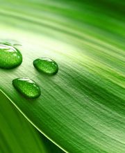 Kallies GMK Dienstleistungen GmbH Logo