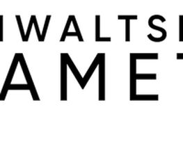 Rechtsanwalt Markus Maximilian Zametzer Logo