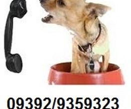 mobile Hundeschule Logo