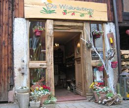 Die Wildkräuterey Logo