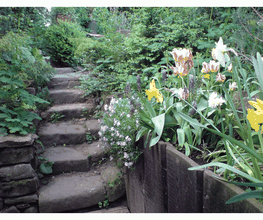 Weg zum Garten