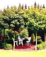 Etwas gemütliches...... Kundenwunsch.