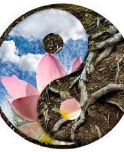 Ajurvan-Naturkosmetik Freiberg Logo