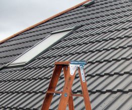 Roof with skylight and wooden ladder under a cloudy sky.