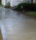 Wet concrete driveway next to a house with shrubs and grass along the edge.