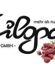 Diloga GmbH Logo