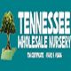 Tennessee Wholesale Nursery logo with tree illustration on a turquoise background.