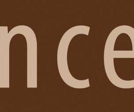 Skin Concept Logo