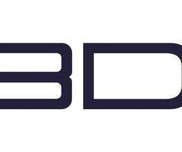 BDSS - Blanco Detektei Security Service Logo