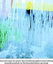 Reinigung der Scheibe