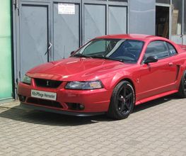 Lackpflege Ford Mustang