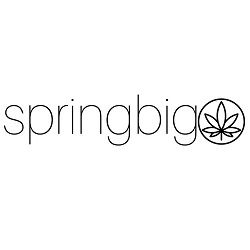 Springbig logo with text and a leaf design in a circle on the right.
