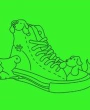 Hunde-Schuh-le Logo