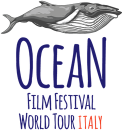 Delfino sopra lettere blu "Bowhead Club". Linea rossa sottostante con scritto "by NFYG".