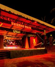 Escenario iluminado del Teatro Maya con temática de circo, rodeado de palmeras de noche.