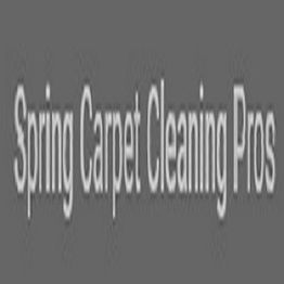Text reads "Spring Carpet Cleaning Pros" on a gray background.